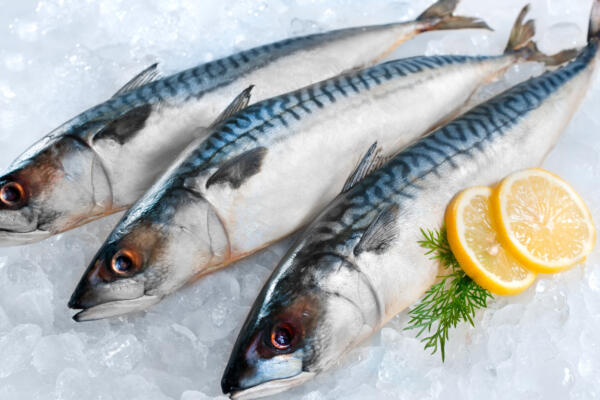Aumenta la venta de pescado por Semana Santa 