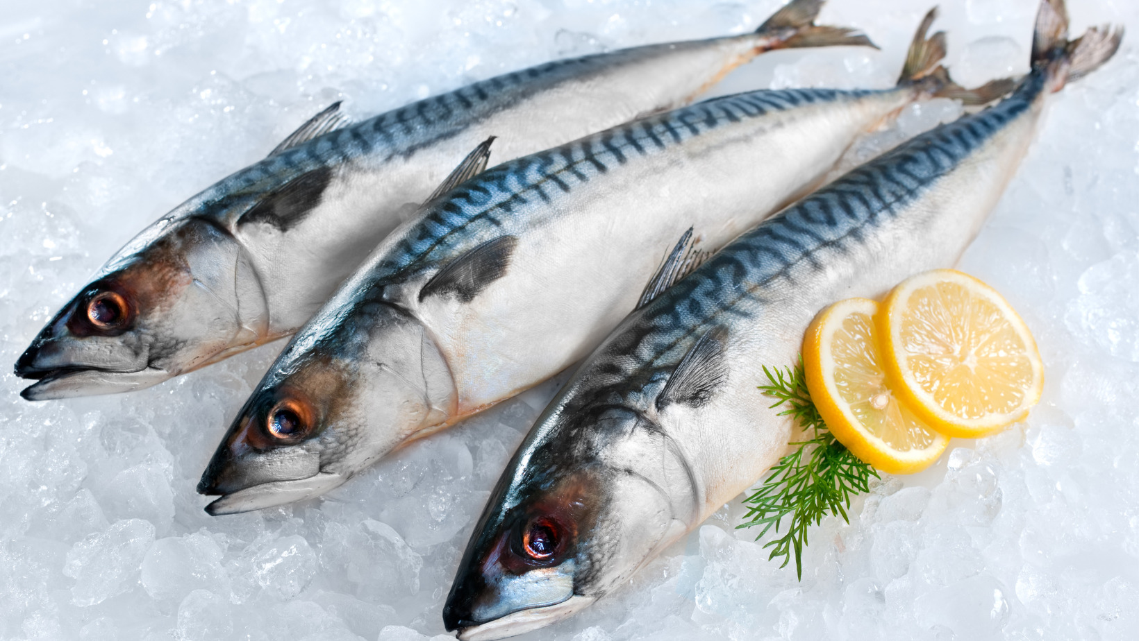 Aumenta la venta de pescado por Semana Santa