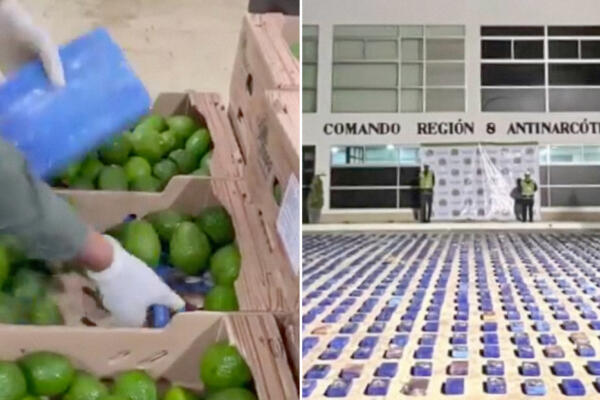 Colombia ha incautado 1,7 toneladas de cocaína escondida en un cargamento de aguacates en el puerto de Santa Marta. Foto: Fuente externa 