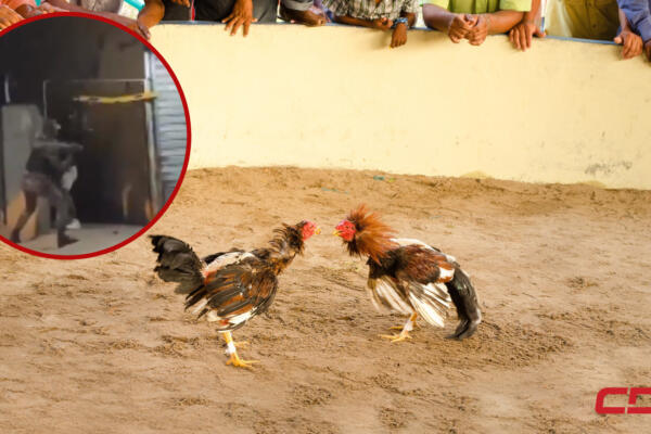 Pelea entre agentes de la Policía Nacional y ciudadanos haitianos. Foto: CDN Digital
