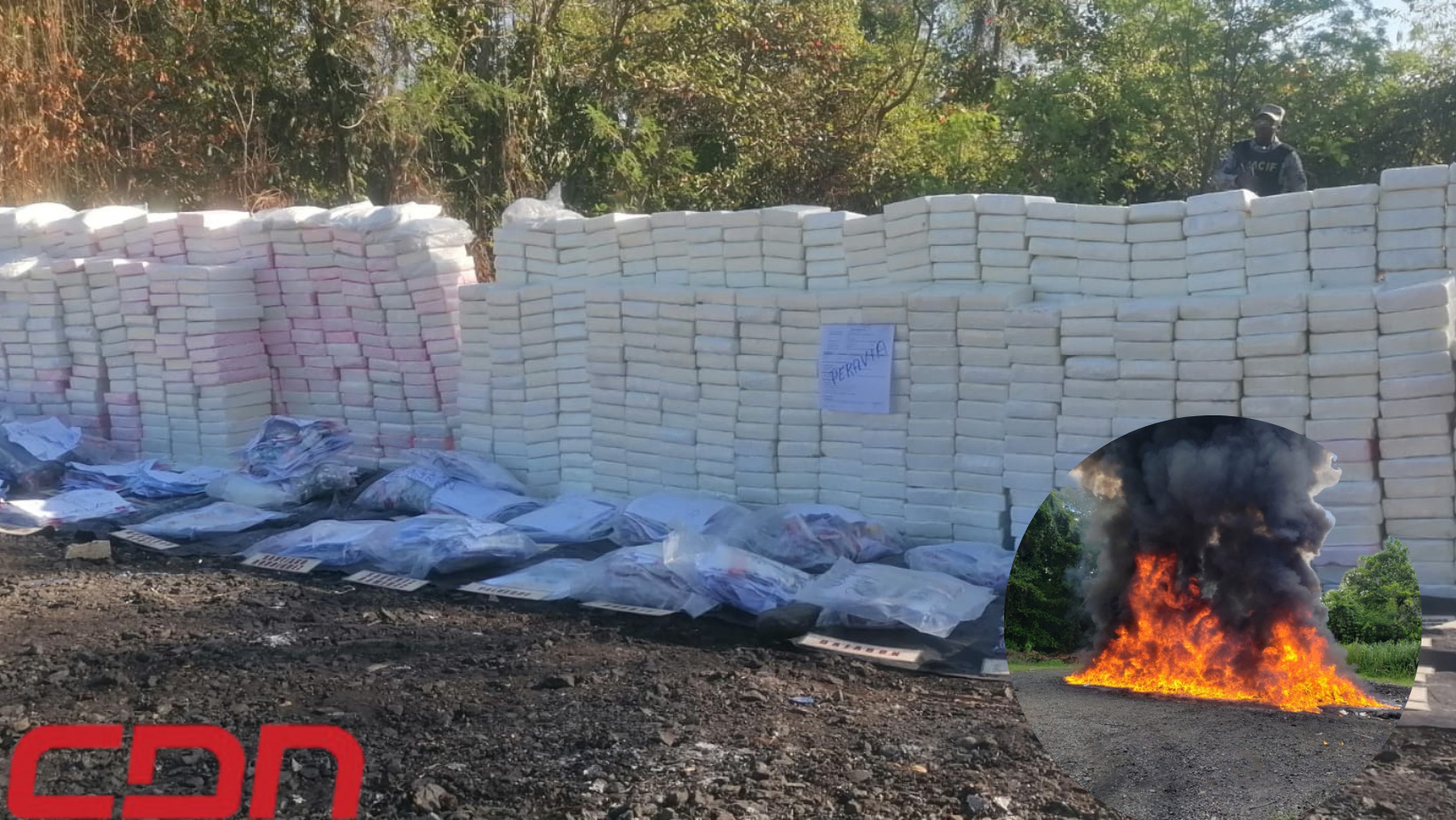  Incineran cerca de 2 toneladas de drogas