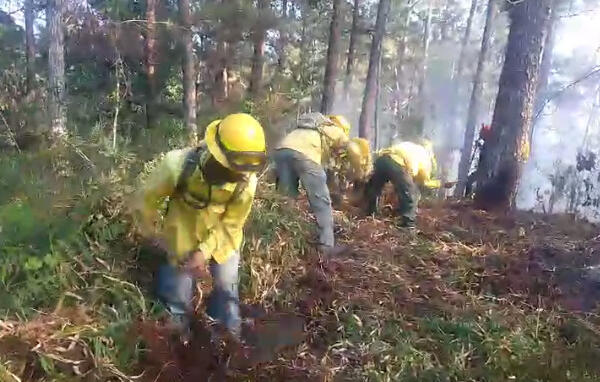 Bomberos forestales de medioambiente