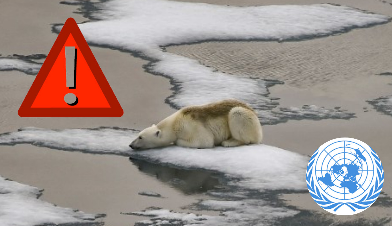 ¿Por qué la ONU declaró una alerta roja por calentamiento global