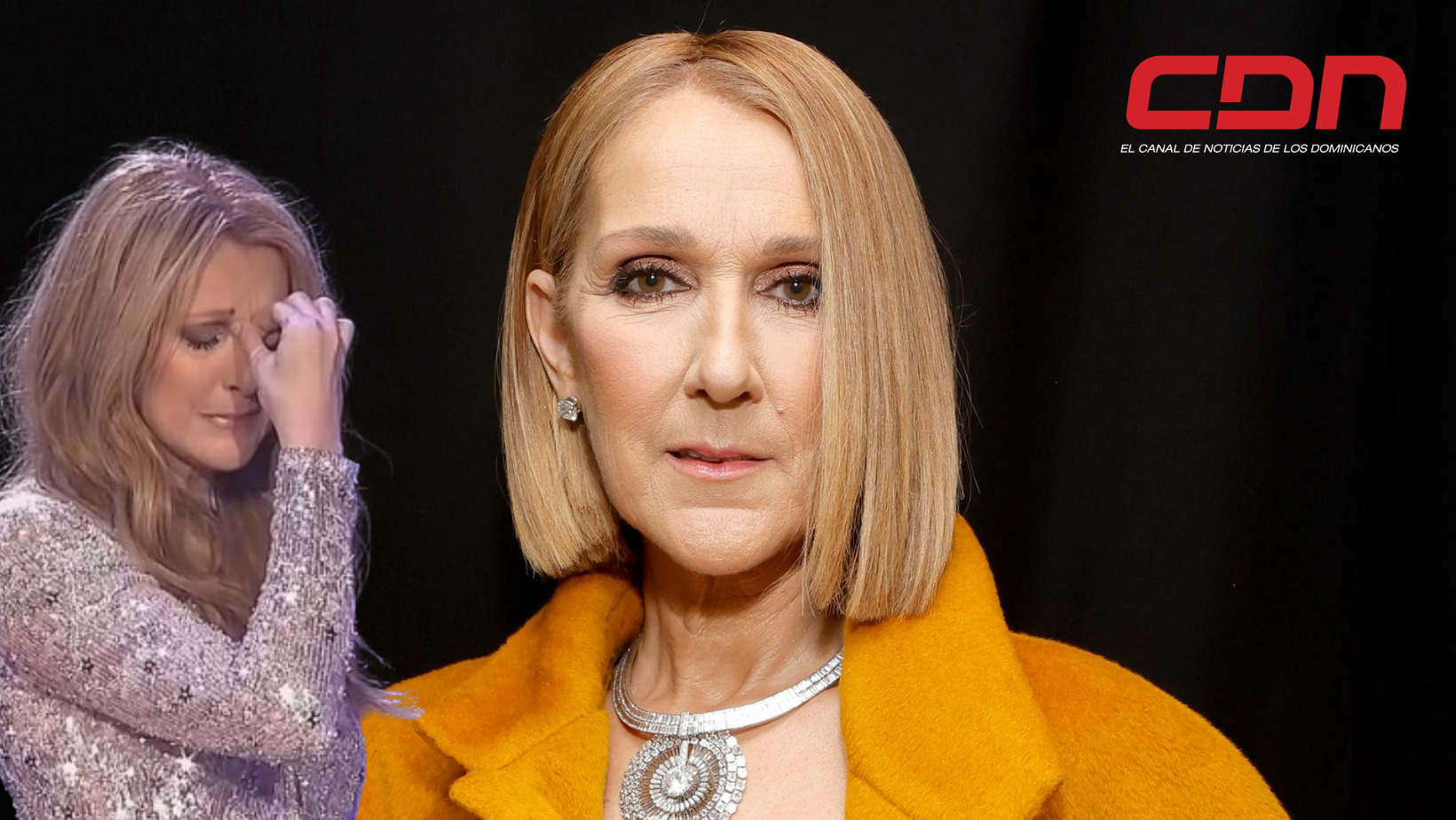 Céline Dion, cantante canadiense. Conocida por su destreza y potencia vocal. Foto CDN Digital