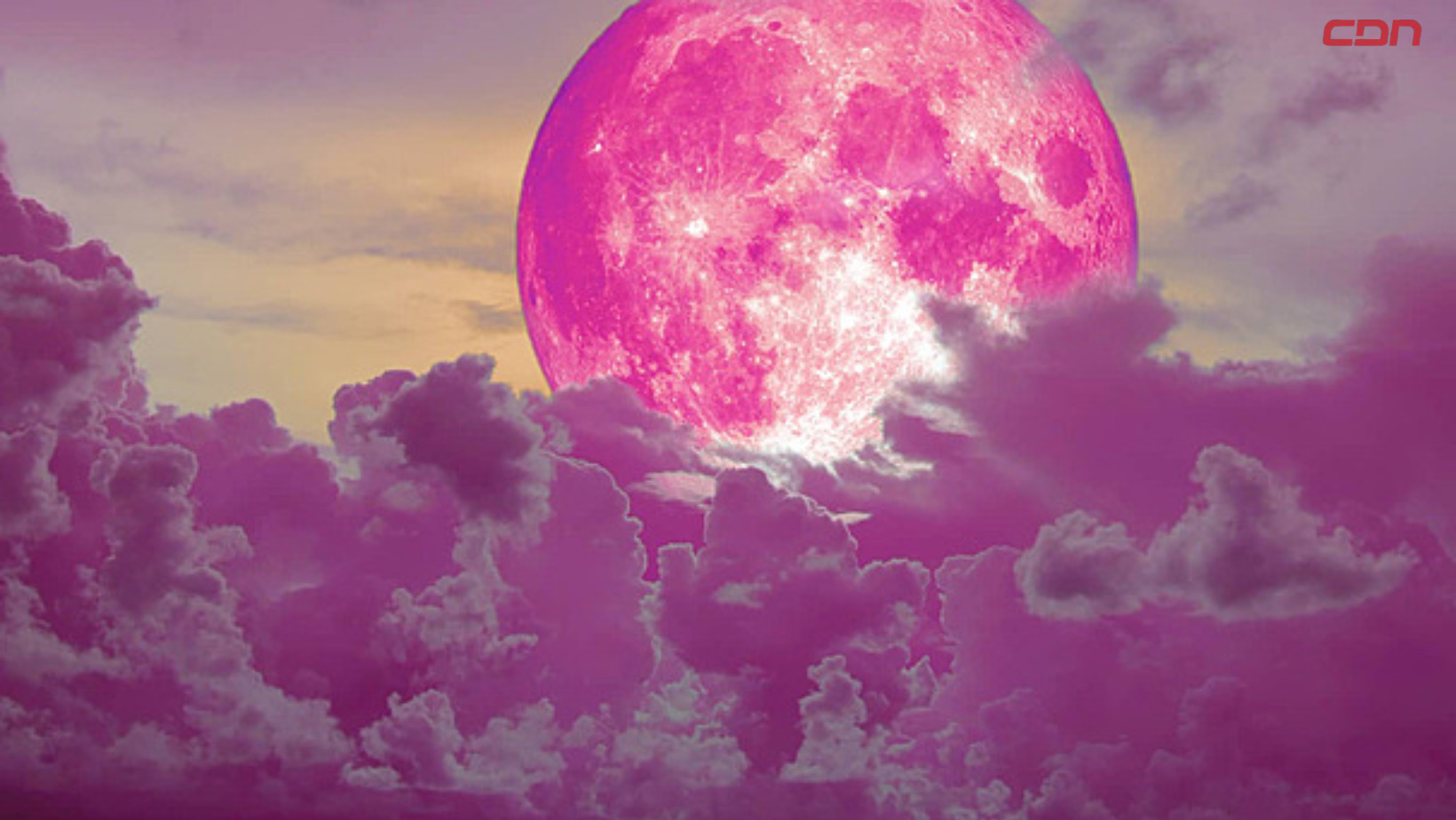 La Luna llena o Luna Rosa. Foto: Fuente externa