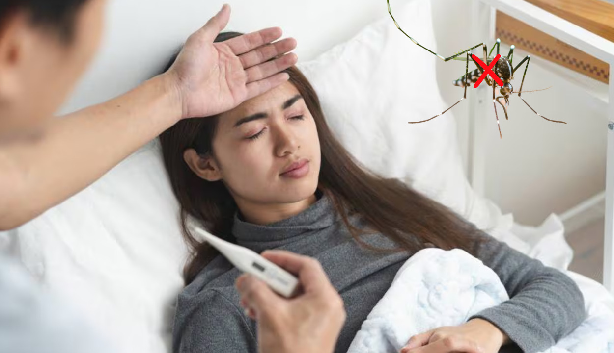Conozca cuáles son los síntomas del dengue
