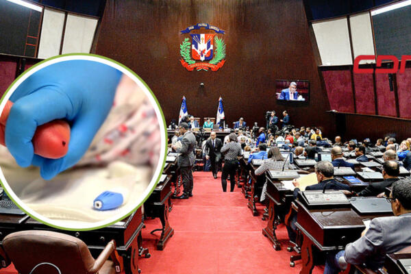 Cámara de Diputados de la República Dominicana. Foto: CDN Digital