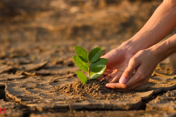 Cambio climático. Foto: Fuente externa 