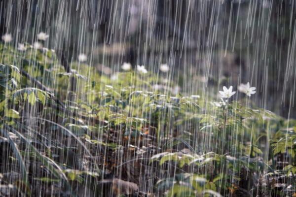 Onamet emite alertas meteorológicas para varias provincias. 