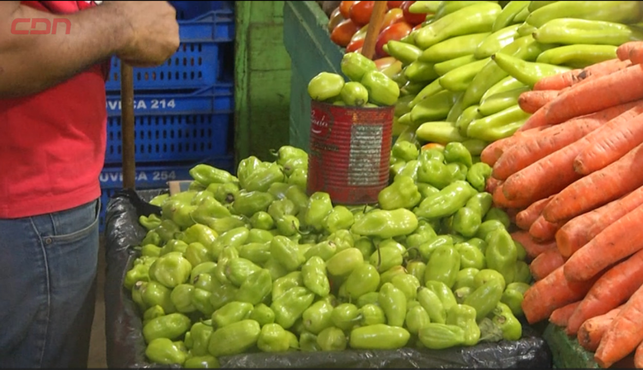 Vendedores de plazas agropecuarias se quejan de baja en las ventas