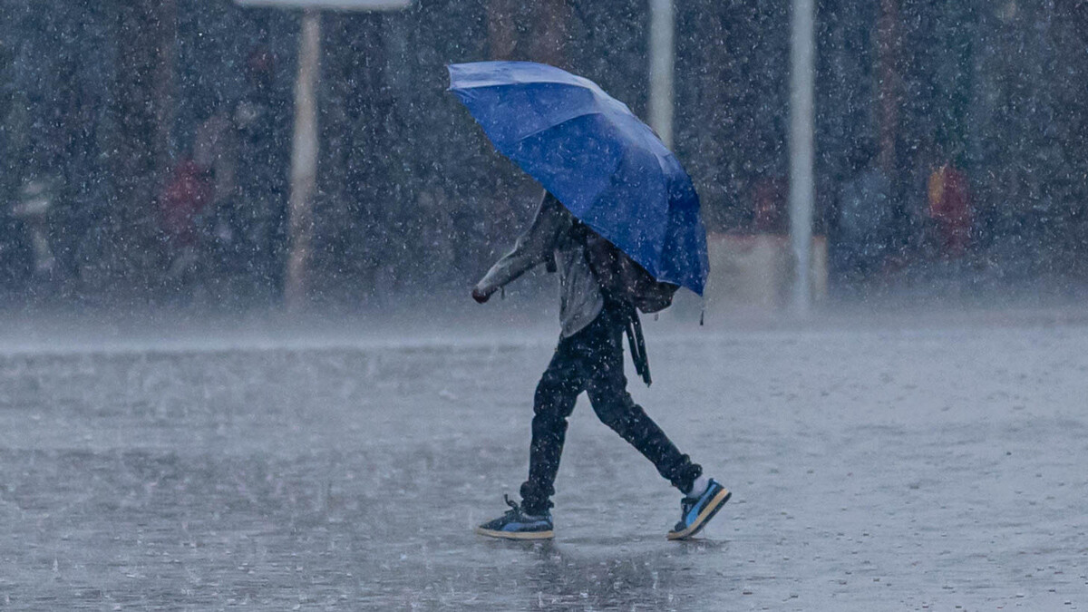 Tiempo de HOY en Santo Domingo
