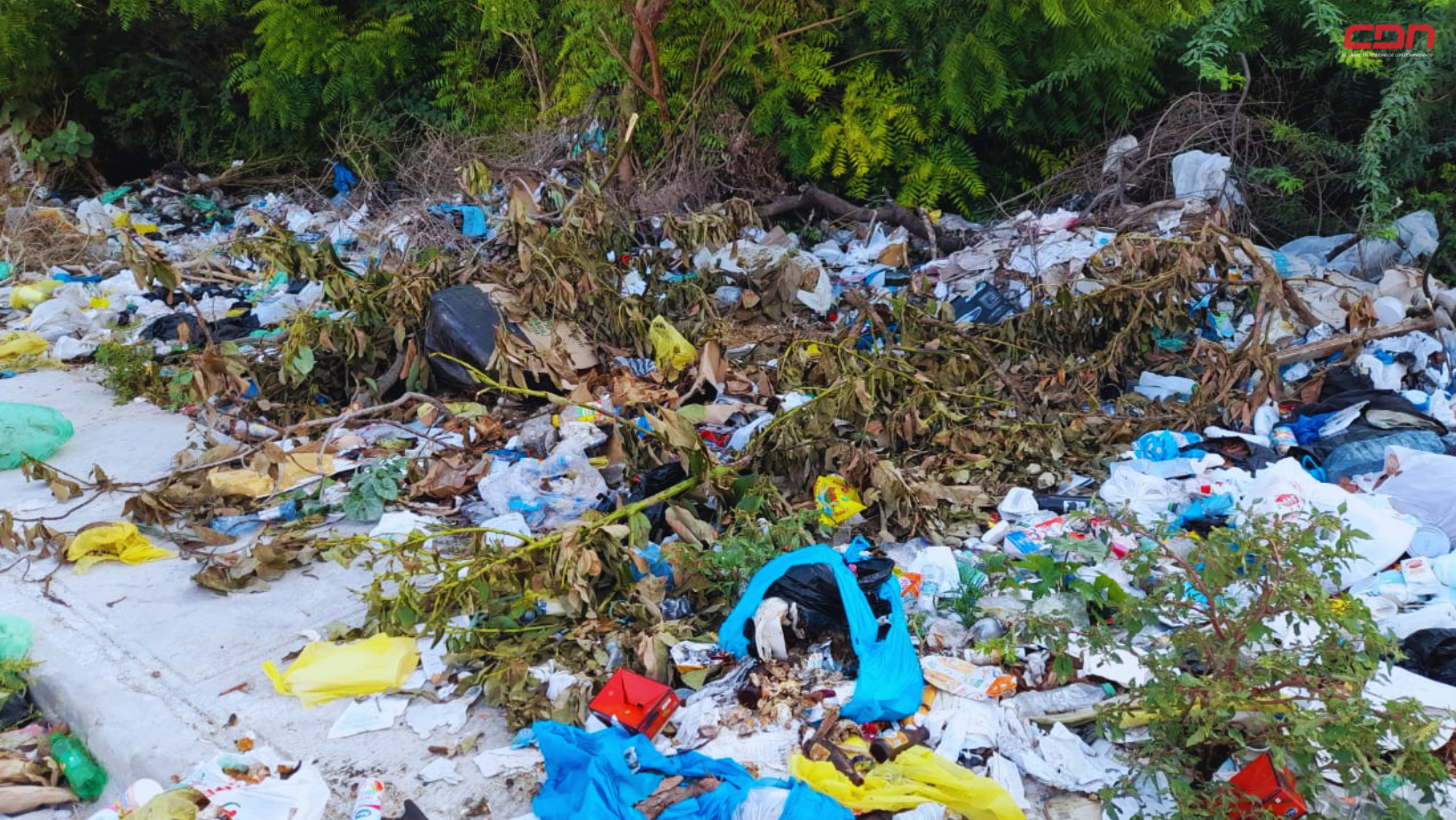 Basura amontonada en la calle Juan Medina, en la Urbanización Blanquizales. Foto: CDN Digital