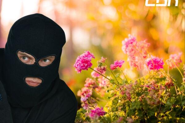 ¡Se están robando las flores del Botánico! Vea el contundente mensaje para visitantes