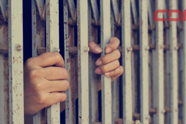 Stefani Joselin Moreta, de 32 años, sorprendida en flagrante delito luego de sustraer una cartera del interior de un vehículo.