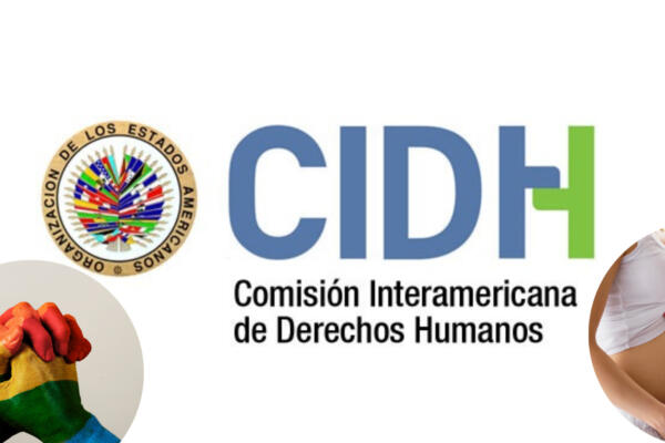 Aborto y Diversidad Sexual: Prioridades de la CIDH en informe anual. (foto: fuente externa)