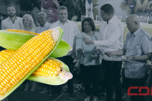 El tercer festival del Maíz es organizado por Fondo Especial Para El Desarrollo Agropecuario