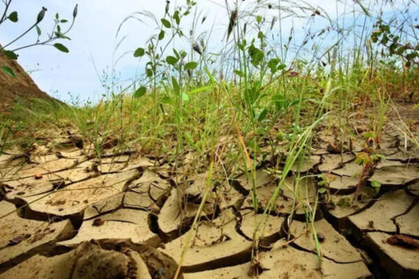 Hoy es Día Mundial de Lucha contra la Desertificación y la Sequía. (foto: CDN)