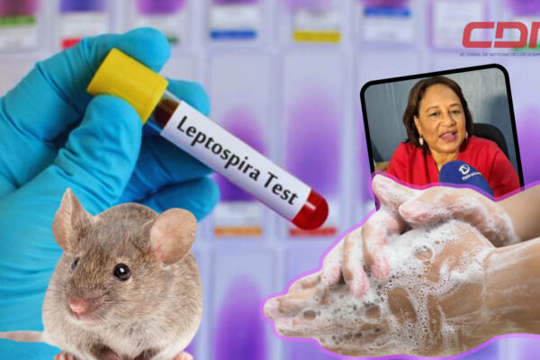 La leptospirosis Enfermedad bacteriana que se transmite por la orina de animales infectados. Foto CDN Digital