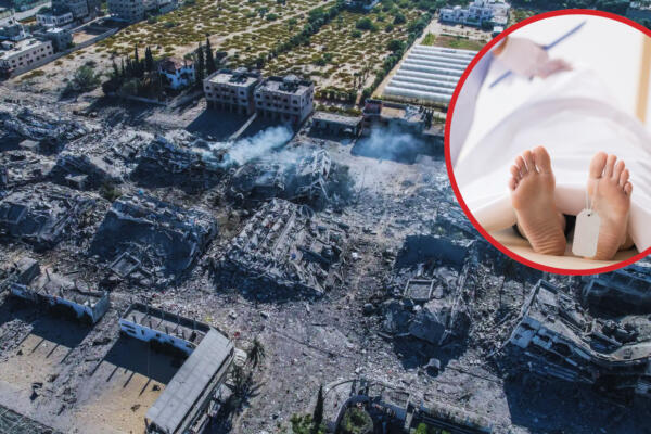 Muchas personas han perdido la vida en la guerra de Israel y la Franja de Gaza. Foto: Fuente externa