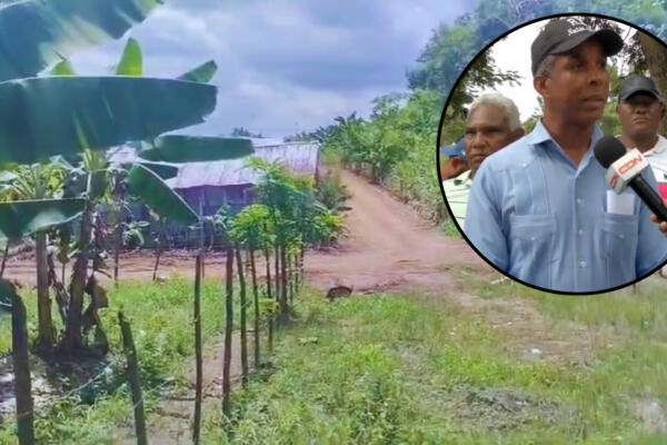 Parceleros denuncian que quieren quitarle sus terrenos. Foto: CDN Digital