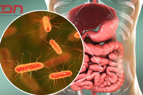 Hoy es Día Mundial del microbioma. (foto: CDN)