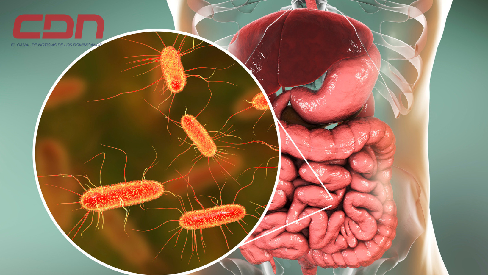 Hoy es Día Mundial del microbioma. (foto: CDN)