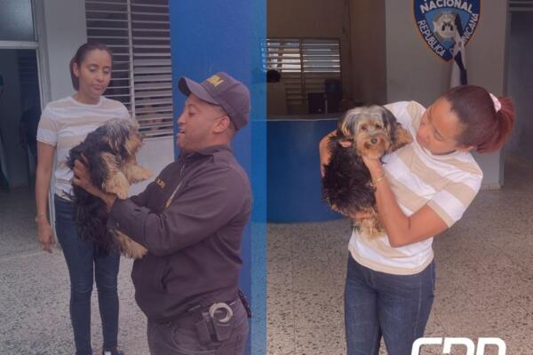 Policía recupera perrita robada y apresa ladrón que intentaba venderla