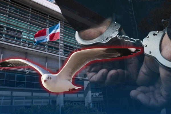 Operación Gaviota - CDN
