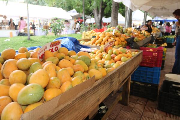 Todo un éxito, así definen cierre de Expo Feria del Mango 2024