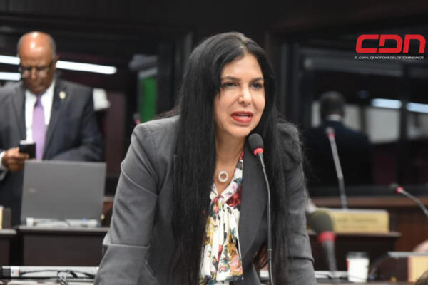 Diputada Rosa Amelia Pilarte presenta recurso de casación . (foto, fuente externa)