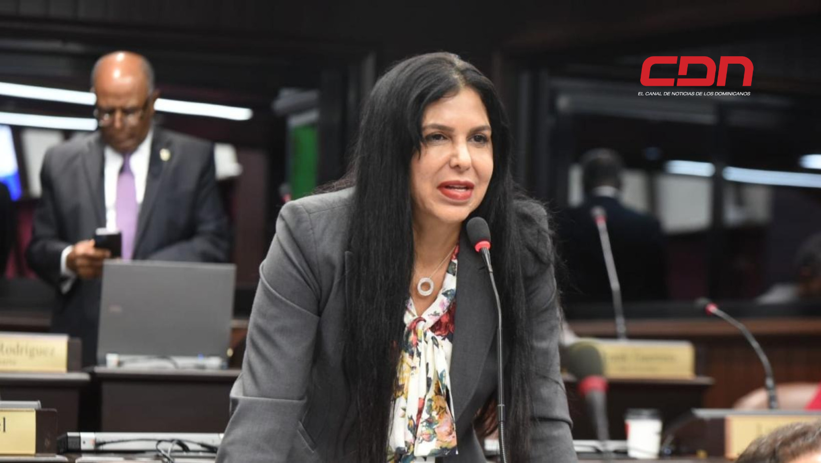 Diputada Rosa Amelia Pilarte presenta recurso de casación . (foto, fuente externa)