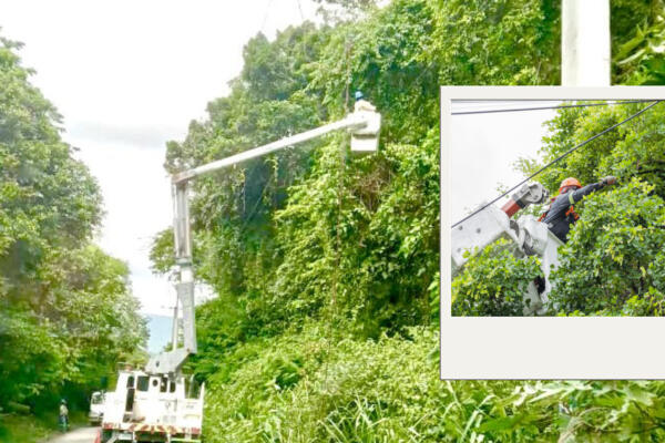Trabajador de Edesur realizando labores preventivas en 19 circuitos eléctricos de diversas provincias 