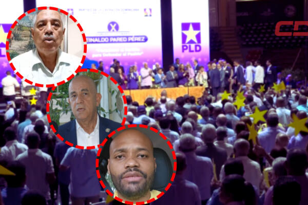 El PLD hizo un llamado a sus miembros a presentar propuestas e ideas para fortalecer esa organización.