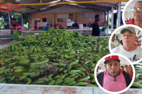 Los productores denunciaron maltratos en contra de los haitianos por parte de militares de la zona. Foto CDN Digital