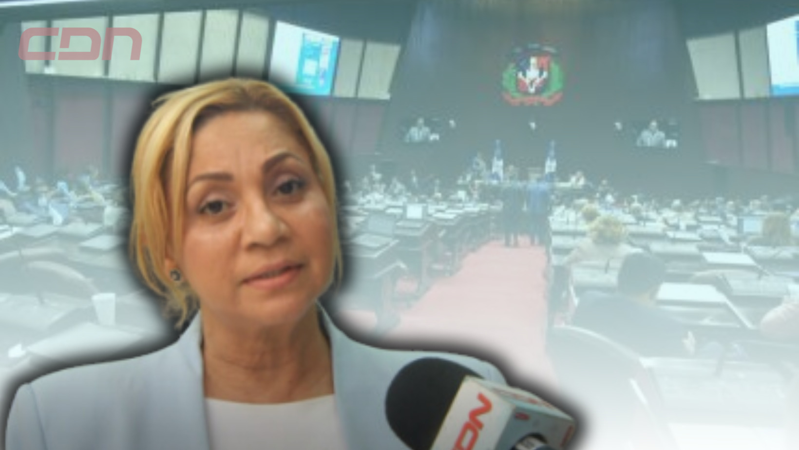 Soraya Suárez, diputada por el Partido Revolucionario Moderno. Foto CDN Digital