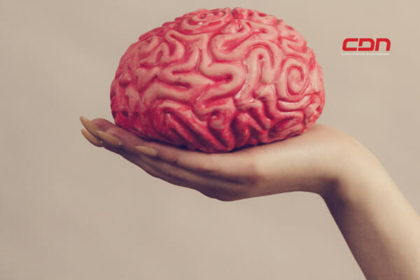 22 de julio Día Mundial del Cerebro. (foto, fuente externa)