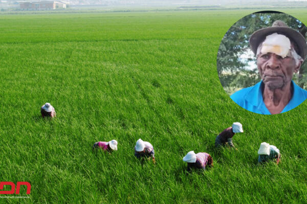 Agricultor denuncia agresión de haitianos durante intento de robo.