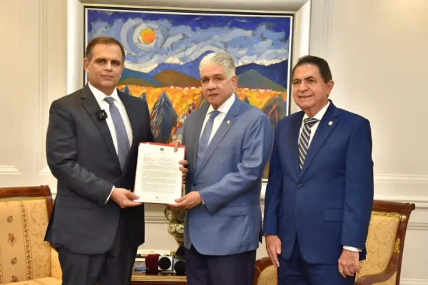 Jochy Vicente y Eduardo Estrella, Ley de Responsabilidad Fiscal