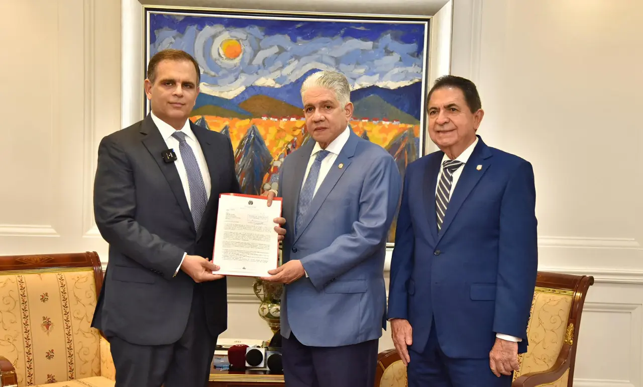 Jochy Vicente y Eduardo Estrella, Ley de Responsabilidad Fiscal