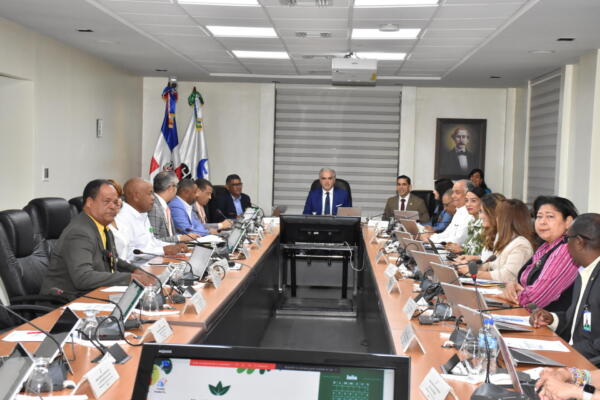 La cobertura de accidente de tránsito aún es administrativa. No incluida en la ley 87-01
Foto: fuente externa