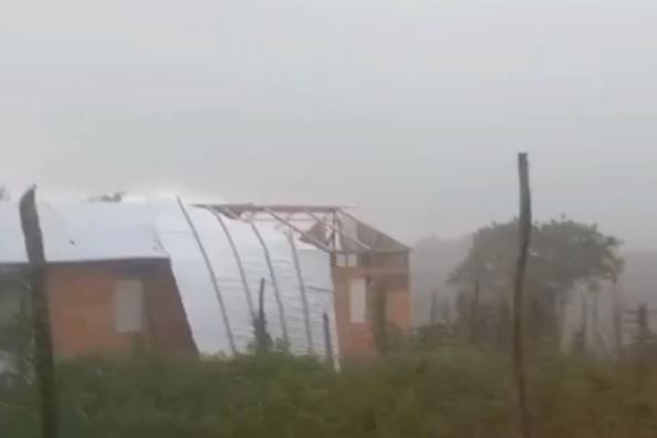 Techos desprendidos y árboles caídos en Palenque por el paso del Huracán Beryl
