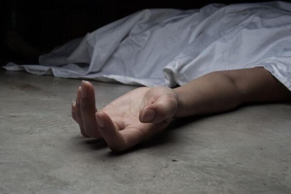  Hijo de cónsul dominicano mató a su mujer y luego se suicida en España