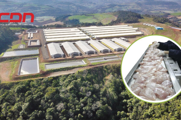Las relaciones comerciales entre la República Dominicana y Brasil han existido desde hace años. Foto: Fuente externa 