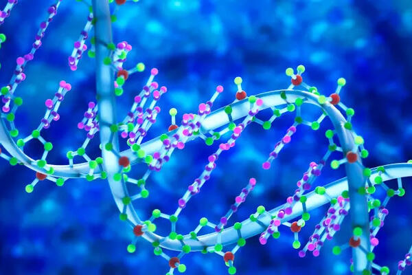Generan neuronas a partir de células de la piel para estudiar el alzhéimer. Foto fuente externa