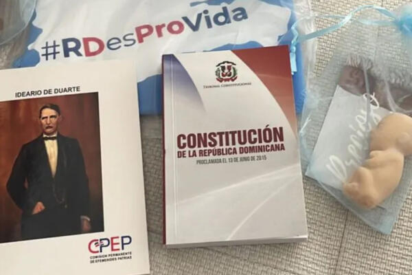 Califican de inaceptable colocación de fetos de silicona en curules de diputados