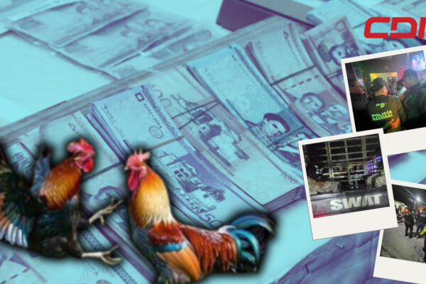A los detenidos se le acusa de haber robado un total de 56 gallos de pelea y 21 gallinas