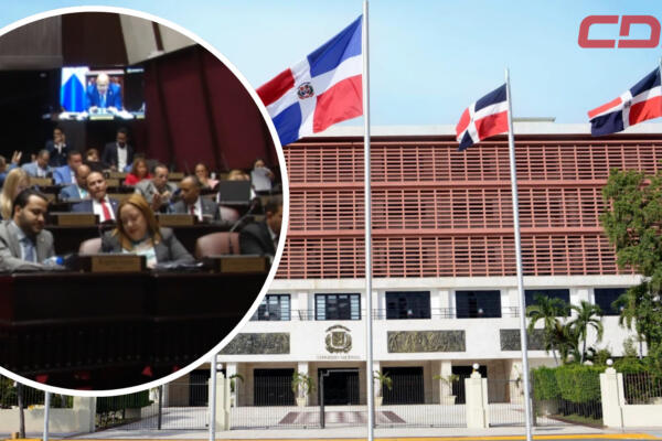 La comisión bicameral, de mayoría perremeista, ya está completa