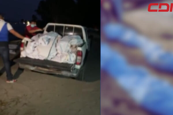 Osamentas transportadas en una camioneta en Gaspar Hernández. 