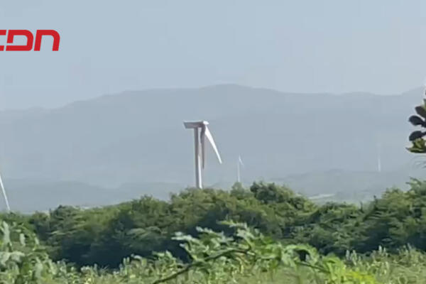 Molinos del Parque Eólico Los Cocos continúan afectados pese a ser denunciado.