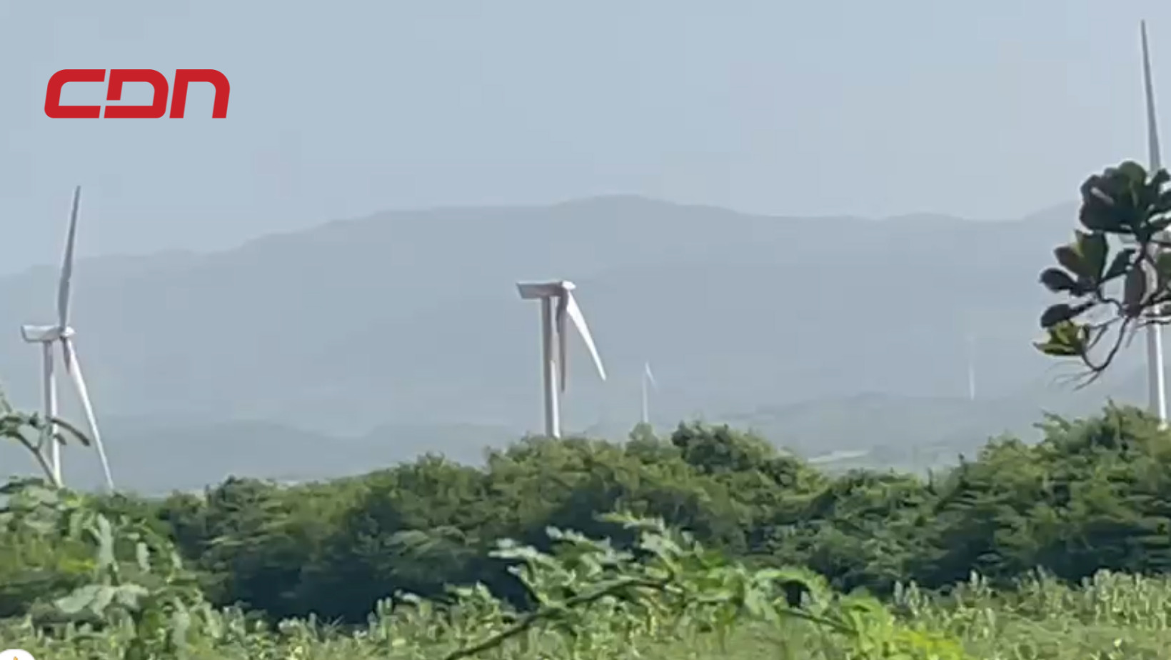 Molinos del Parque Eólico Los Cocos continúan afectados pese a ser denunciado.